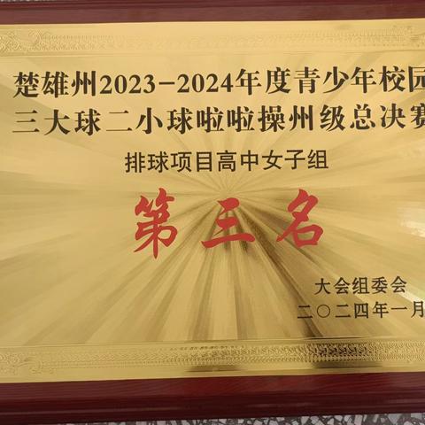 运动展风采 逐梦向未来——大姚县实验中学2024年州运会比赛风采展