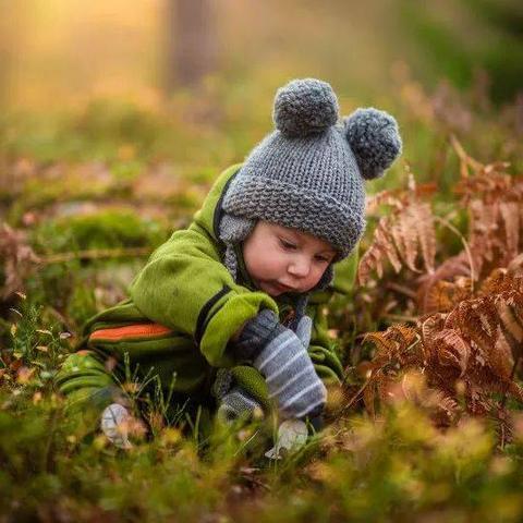 2018年中国家庭教育大数据发布：揭露家庭教育的8个真相_手机搜狐网