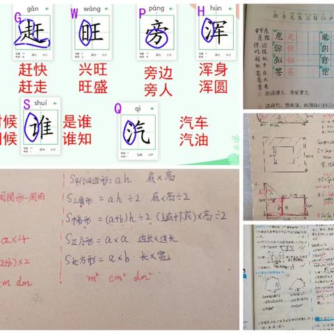 趣味居家学，成长不停歇——赞公庄小学二年级趣味学习展示