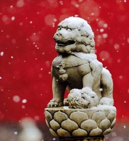 小雪 | 初冬外燥内热，补肾养肾，调理脾胃。