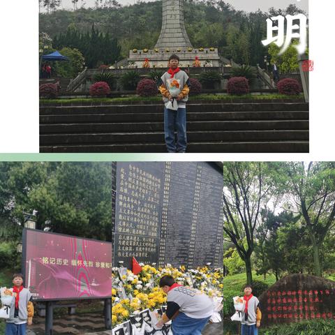 我们的节日——清明节