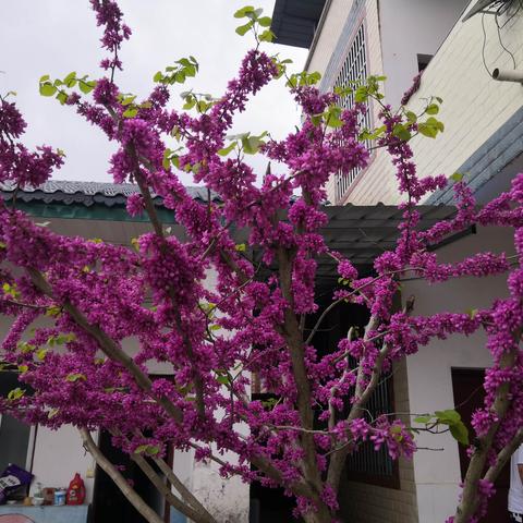 二十九：支教老师的团建（一次完美的生活体验——我的支教生活）