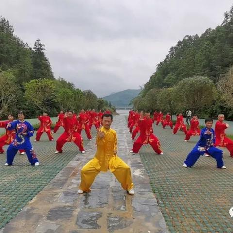 靖安太极拳、健身气功爱好者赴茶湾山水景区展示2022.6.13.