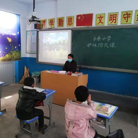 下槐镇长桑小学开展森林防火“六个一”活动总结