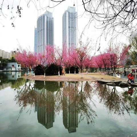 春日寻芳Smell the flowers in the beautiful spring days