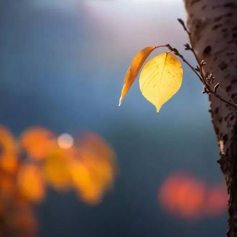 站在时光的渡口 ——秋去冬来