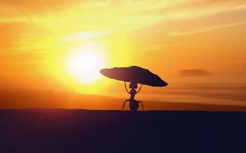 岁序更替   新元肇启 ——写在2023年年末岁尾