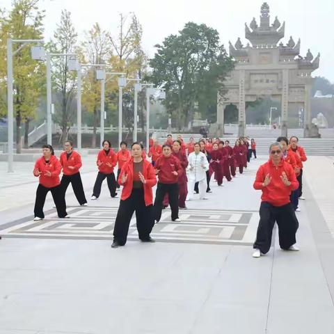 泸州线下推手功法训练营