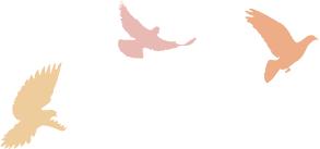 张范北于小学的美篇