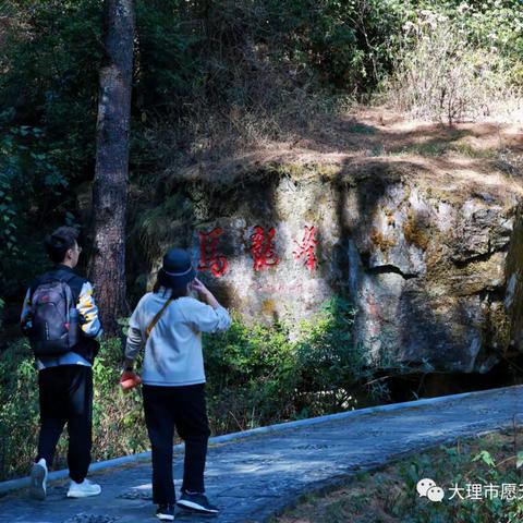 大年初一：登高望远，节节高升！