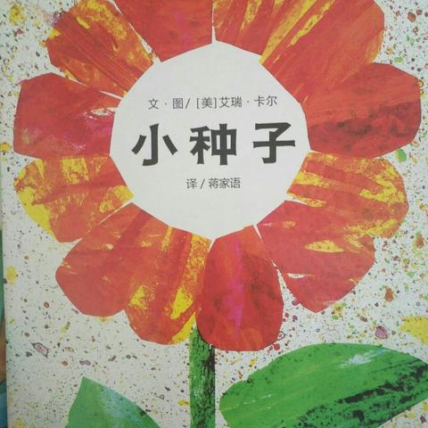 郝家岗幼儿园中班绘本美术《小种子——小种子去旅行》