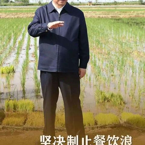 “制止餐饮浪费 培养节约习惯”倡议书——大河南学区