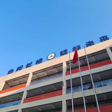 枇杷小学开展“向阳杯”春季学生运动会