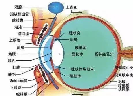 玛卡巴卡的美篇