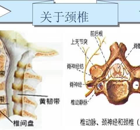 你会睡觉吗？怎样睡觉对颈椎最好？