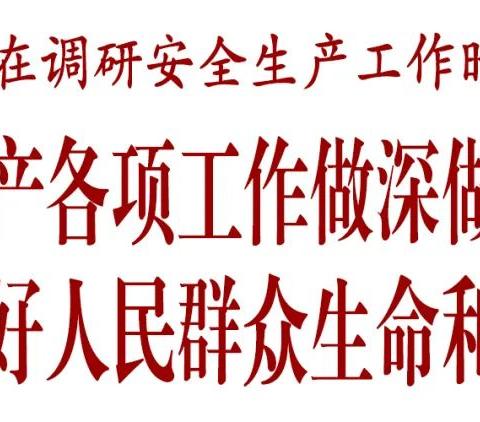 方红卫在调研安全生产工作时强调 把安全生产各项工作做深做细做扎实 切实维护好人民群众生命和财产安全