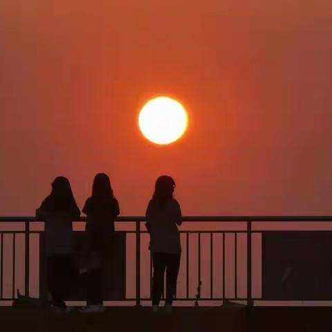 校长随便记 | 教育留白，静待花开……