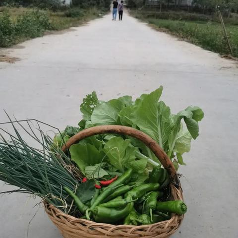 如何更好的提高生命质量，做到健康长寿