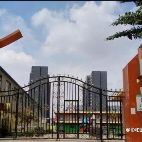 珍爱森林   预防火灾  ------ 协和国际学校英贝幼儿园致家长一封信