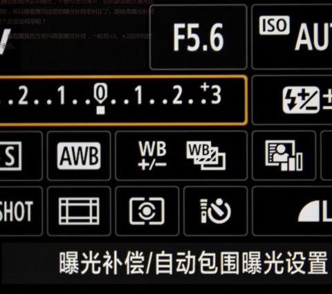 摄影学习 【蚂蚁课堂】六：什么是曝光补偿？