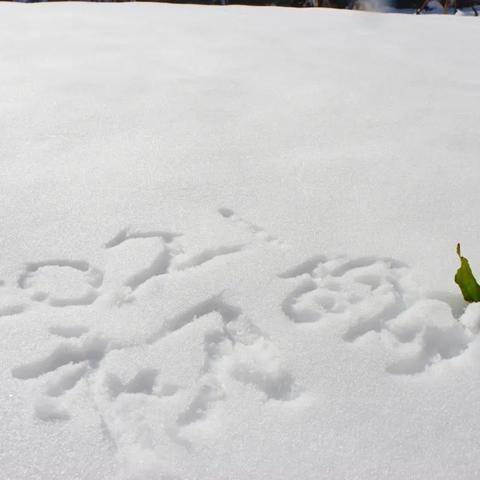 初雪