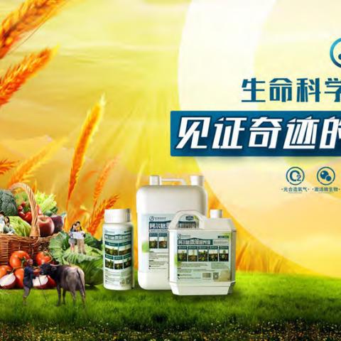 阿尔格活性微藻细胞技术介绍
