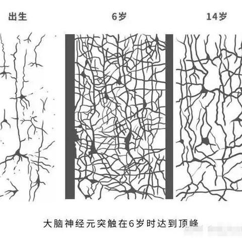 3岁前的6个关键期，妈妈必看！