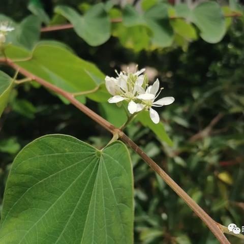 诗歌小辑（十五）风起云涌，水舞鱼龙