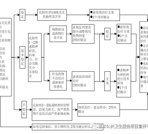 【2021国家基本公共卫生】严重精神障碍患者健康管理服务规范