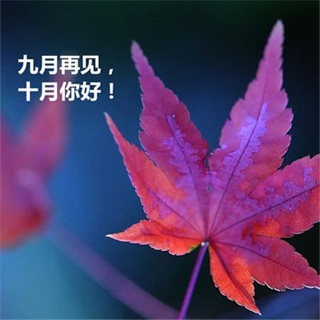 普天格兰绿都物业服务中心9月份工作总结