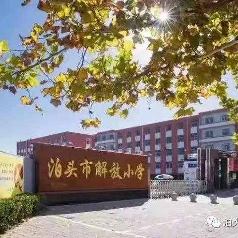 凝心聚力 教研相长—记解放小学青年教师优质课展示活动（九）