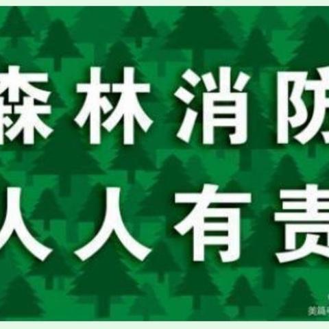 伍家垅亲子幼儿园2021年春季《森林防火》 - 美篇