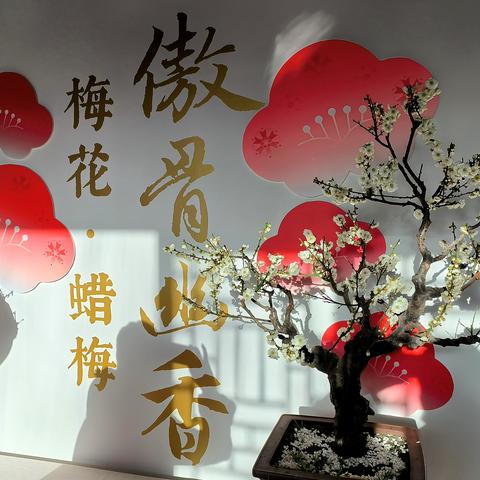 颐和园“傲骨幽香”梅花、蜡梅迎春展
