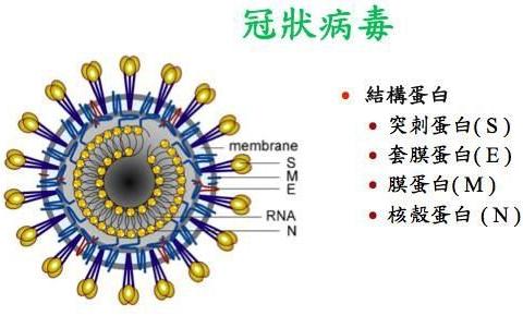 神木市成泰清华幼儿园“预防新型冠状病毒”温馨提示 - 美篇