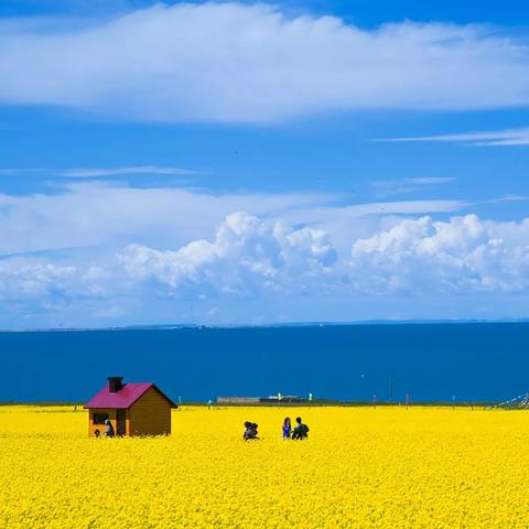 兰州-青海湖-茶卡盐湖-塔尔寺-金银滩草原-阿什贡-藏族村落-土族风情园双飞6日游