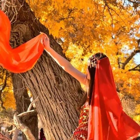 【秋摄·额济纳旗胡杨林】中国最美秋天6日行