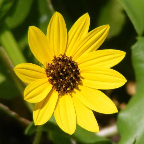 人最有用的本事，是和颜悦色