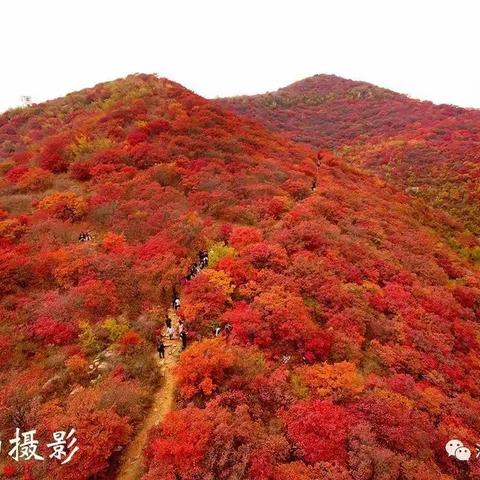 2023.10.14（周六）邢台佛照山休闲一日游，今秋最超值的赏红叶，那么近，那么美，周末到河北耍起来