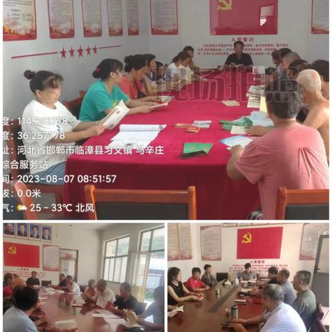 习文镇开展“学理论、办实事、当先锋”主题党日活动