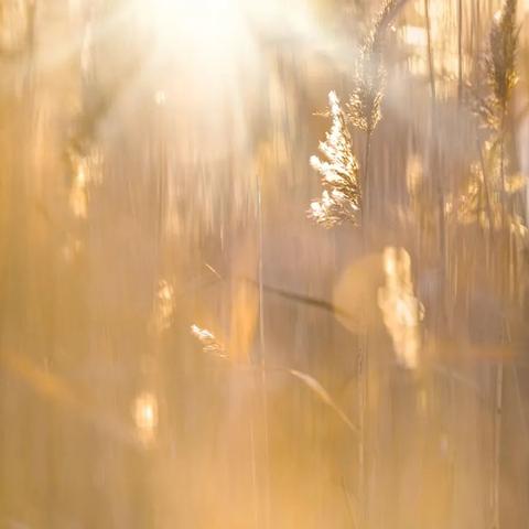 管理好情绪，打点好生活