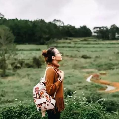 十年光景——终究逃不过物是人非