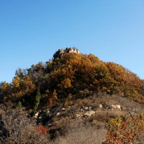 10月18号周日蒙山龙头崮红叶谷休闲穿越摘柿子苹果