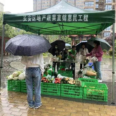 供销蔬菜直通车//撸起袖子加油干 风雨无阻向前行