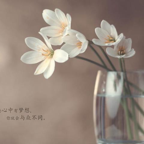 挑战自我，实现自我，超越自我