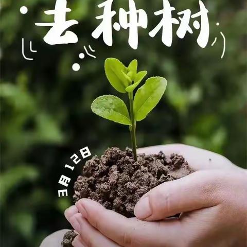 潭头优优托管植树节活动