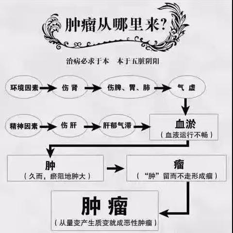 《木耳的故事》揭示：为什么医院不能根治肿瘤？