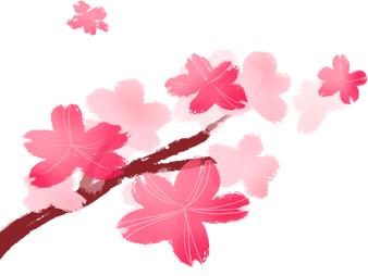 莪哋沋傷畩嘫佷羙的美篇