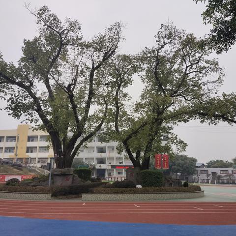 香龙中学开展2023年春期家校共育家长会