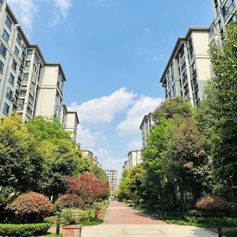 时代小镇周报