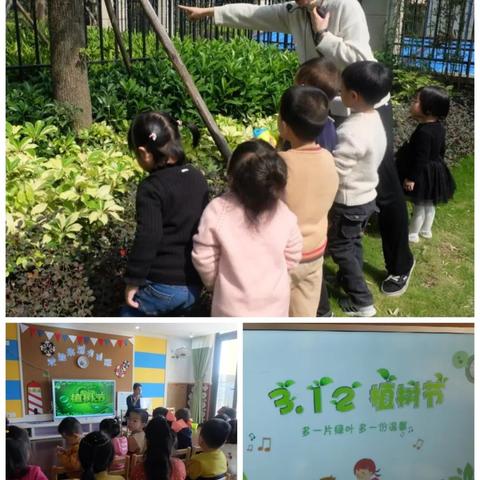 恒大福达幼儿园——“3·12植树节”主题教育活动